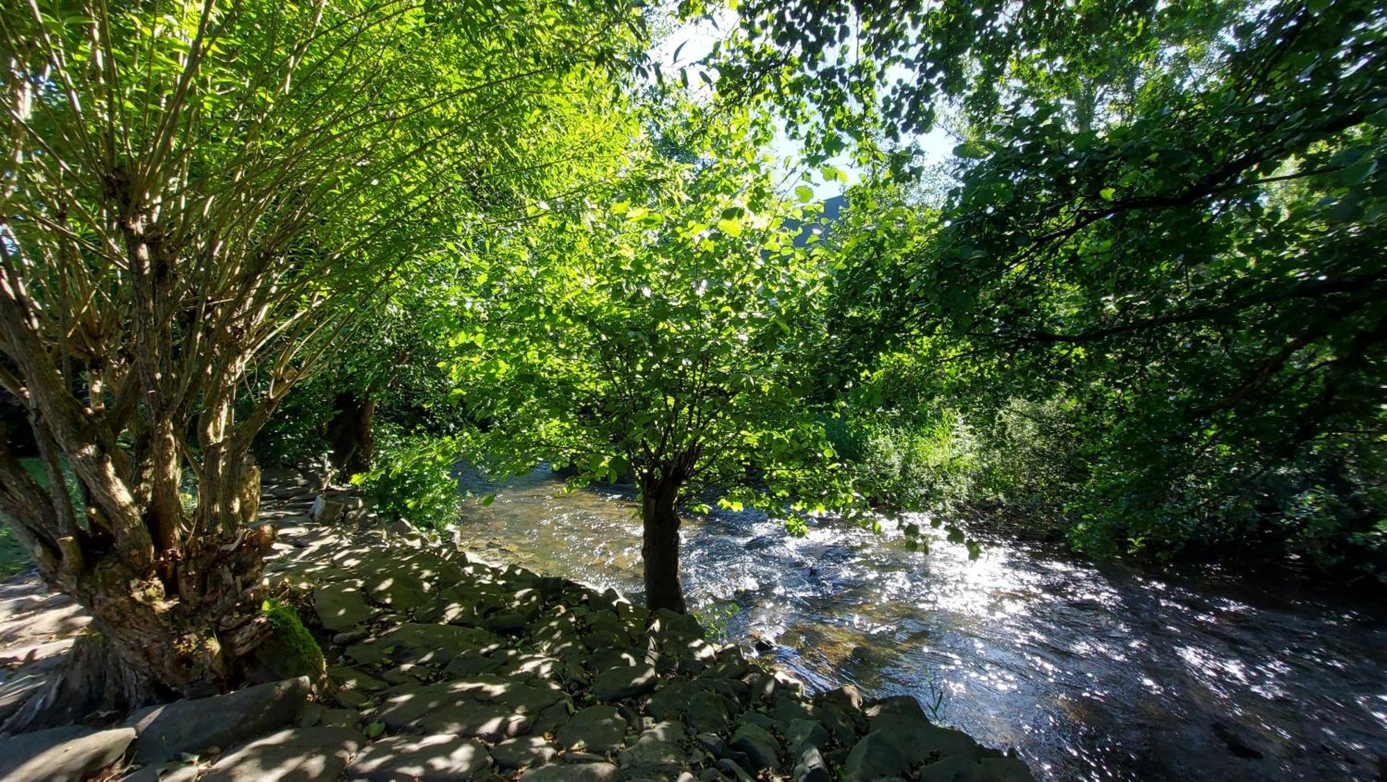 Maries Bunte Villa Bad Berleburg Dış mekan fotoğraf